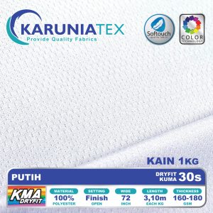 dryfit puma